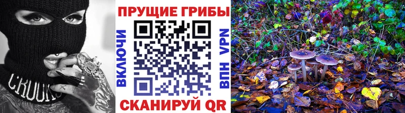 Купить  Луза  Псилоцибиновые грибы MAGIC MUSHROOMS 